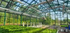 Un hôpital avec une serre pour produire des produits bio