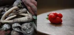 Un service traiteur qui utilise les légumes refusés par les supermarchés et restaurants