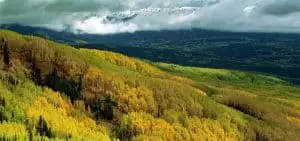 SimAlti, retrouvez les bienfaits de la montagne en ville