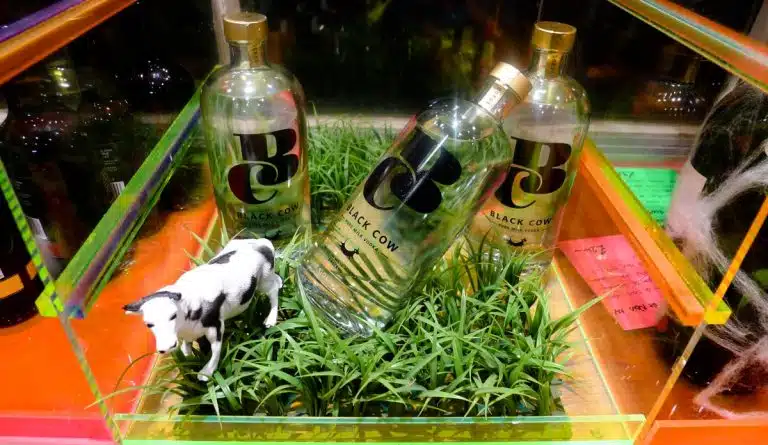 Un anglais fabrique de la vodka avec du lait de vache
