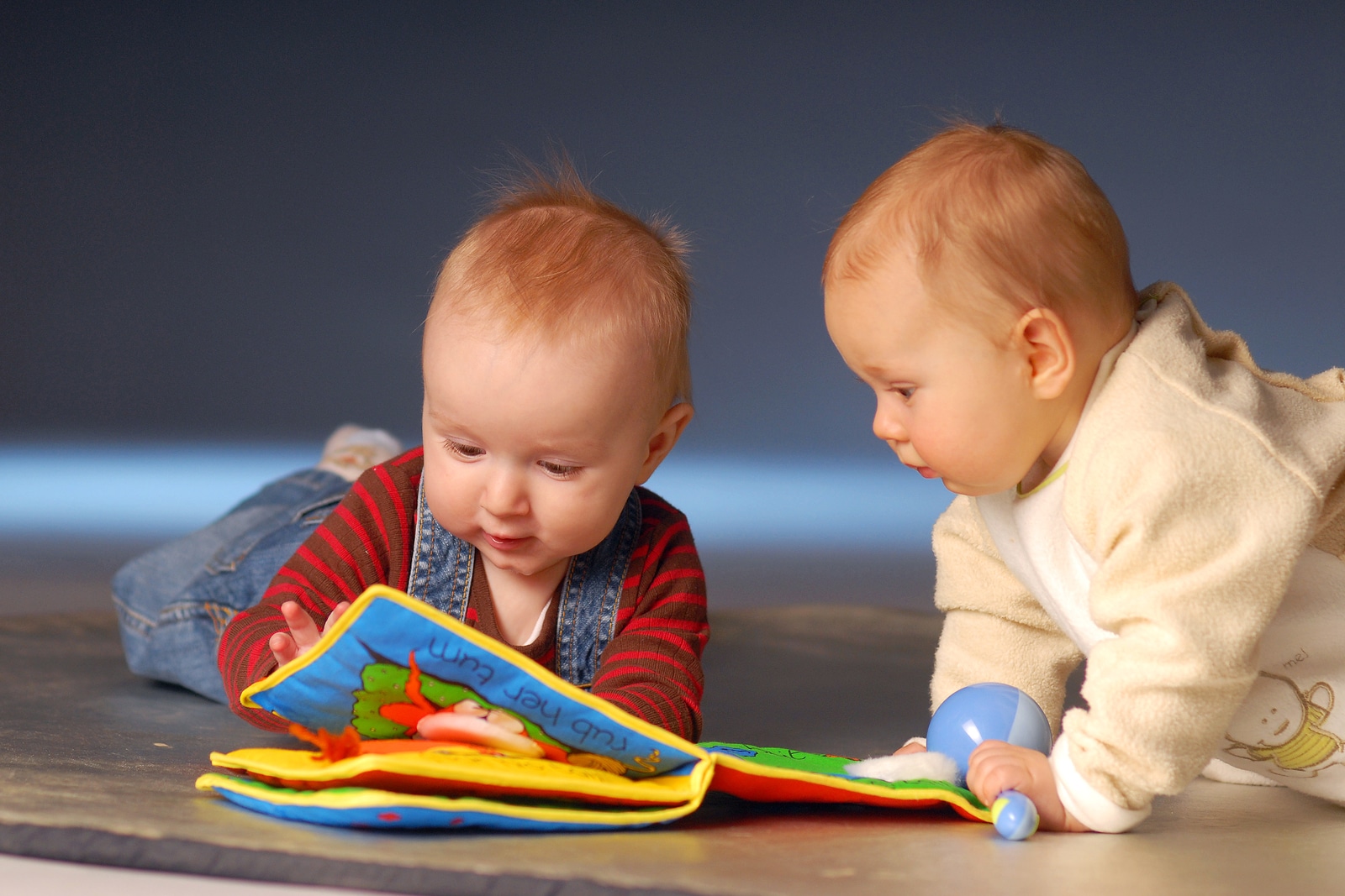 Un service de location de jouets en ligne