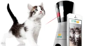 Jouer, nourrir et parler aux animaux de compagnie depuis n’importe où dans le monde