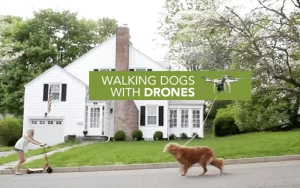 Un drone pour promener son chien