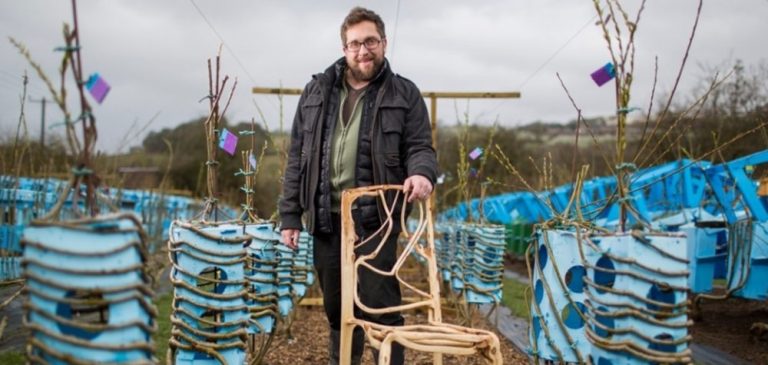 Un designer fait pousser des chaises dans un champ