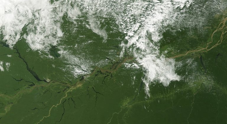 Une startup propose d&rsquo;observer la terre depuis l&rsquo;espace pour mieux stopper la déforestation