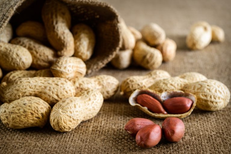 Industrie agroalimentaire : des cacahuètes pour réduire la faim dans le monde