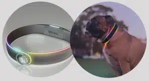 Un collier intelligent pour chien dispose d’un éclairage LED, d’un GPS et d’un suivi alimentaire