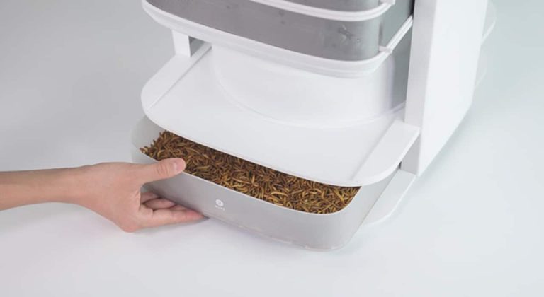 Une ruche de bureau exploite des insectes comestibles