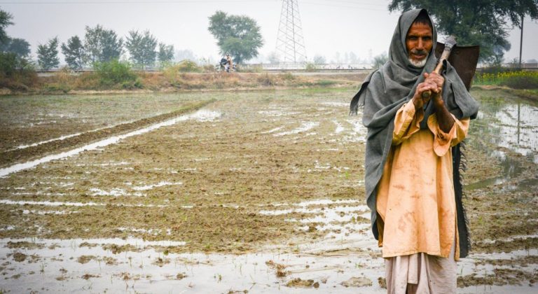 Au Nigéria, une application de prédiction des inondations soutient les agriculteurs
