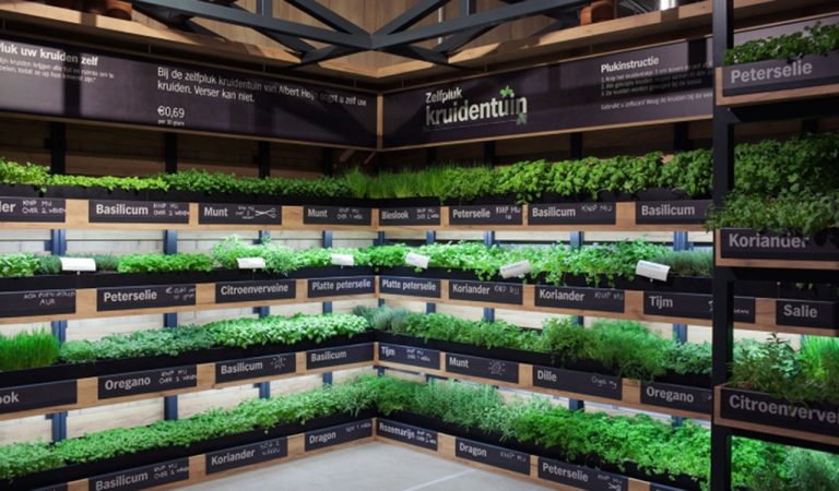 Les acheteurs hollandais choisissent leur propre herbe dans le jardin d’un supermarché