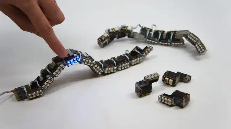 Des répliques d’organes imprimés en 3D pour la formation des chirurgiens