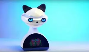 Le robot social qui enseigne aux enfants une langue étrangère