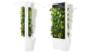Un mur de plante intelligent qui purifie l’air intérieur