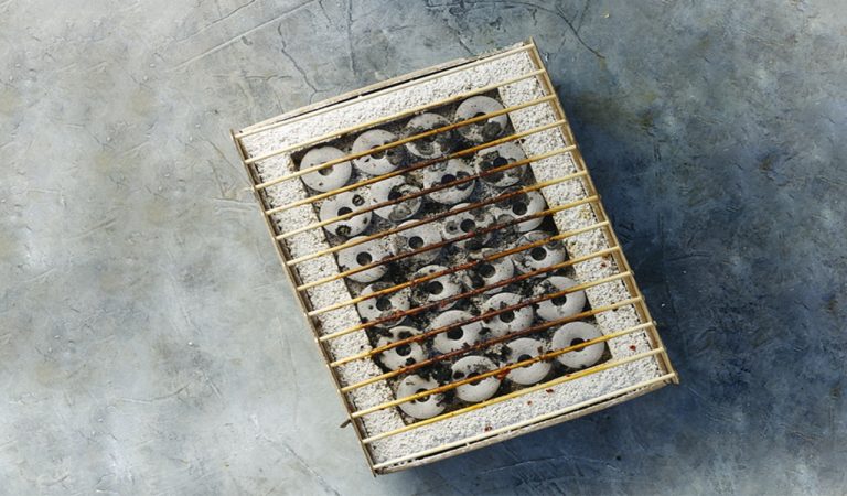 Un barbecue en carton jetable qui est écologique et qui élimine les ordures