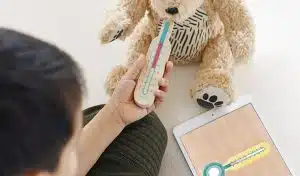 Un ours en peluche en réalité augmentée qui sert d’outil éducatif pour les enfants
