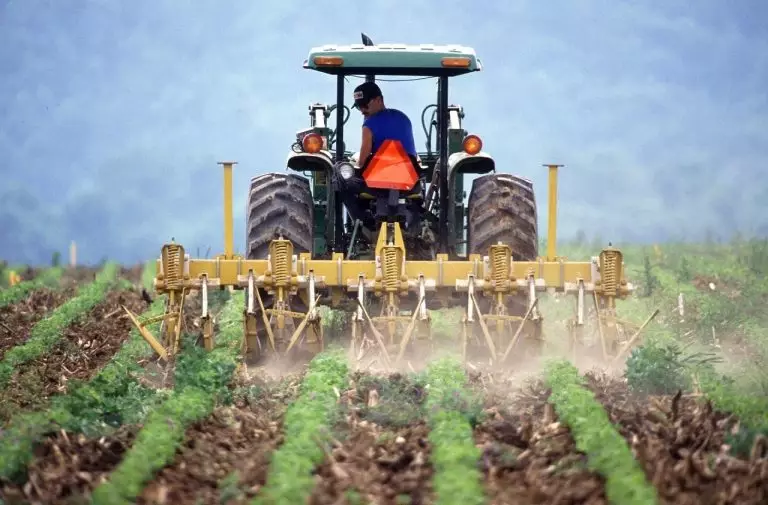 Les analyses provenant des capteurs installés dans le sol pourraient révolutionner l’agriculture