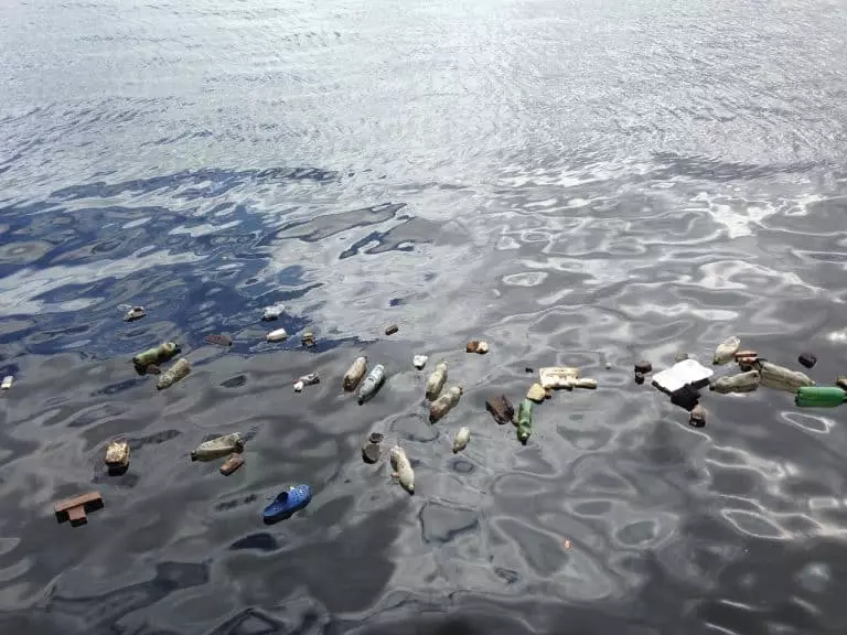Un colorant fluorescent qui aide à identifier les microplastiques dans la mer