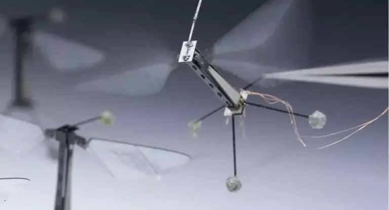 RoboBee, un insecte robotisé capable de voler et de nager