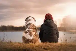Converser avec votre chien devrait être possible en 2020