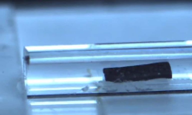Un minuscule robot chenille pour soigner certaines maladies