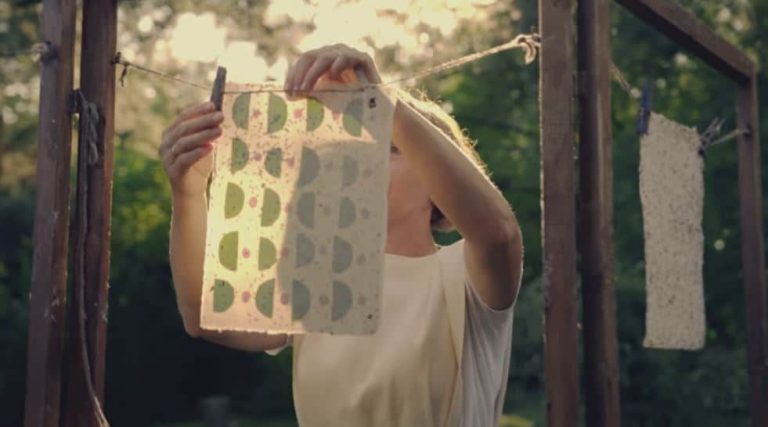 Un papier riche en sucre pour sauver les abeilles