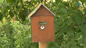Cette boîte en bois prévient en cas de présence de pesticides