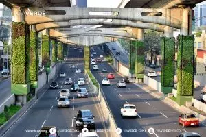Des pylônes pour végétaliser les autoroutes au Mexique