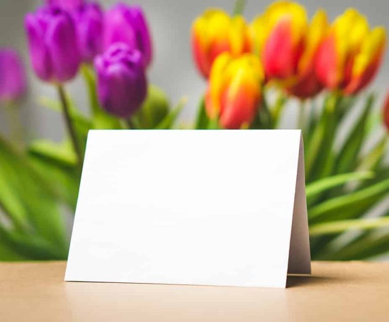 Carte de vœux : comment tirer profit de cet outil marketing