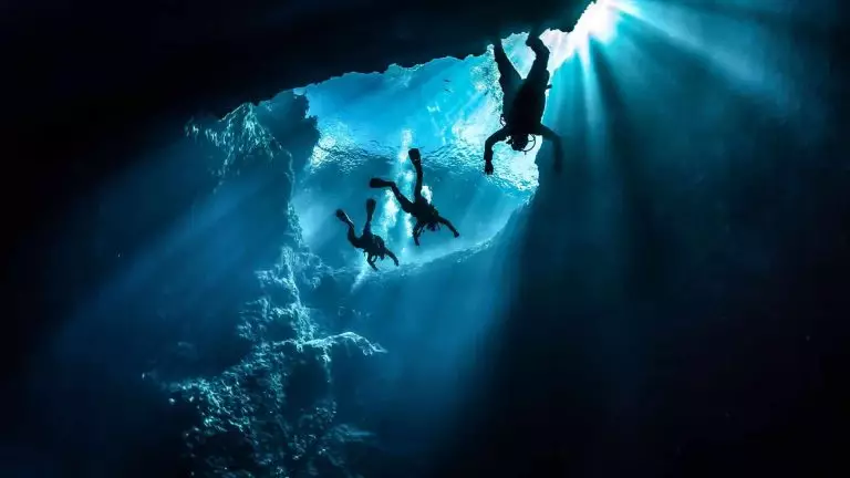 Des branchies artificielles pour que l'homme puisse respirer sous l'eau