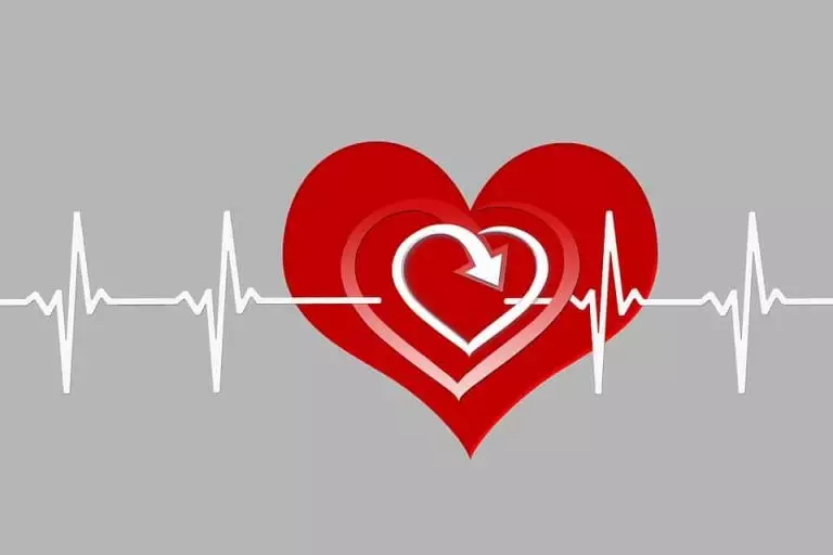 Santé : pour la première fois, des cellules cardiaques sont transplantées chez l’Homme (Partie 1)
