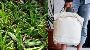 Bananatex, le tissu écoresponsable et bio fait à base de fibres de bananes