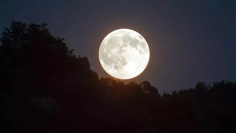 Des abris lunaires pour se préparer à l’exode humain