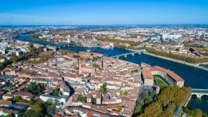 Un arbre géant pour purifier l'air à Toulouse