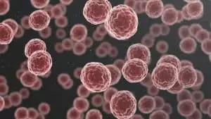 Cet appareil permettrait de détecter les cancers Cet appareil permettrait de détecter les cancers