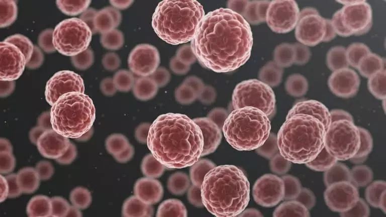 Cet appareil permettrait de détecter les cancers Cet appareil permettrait de détecter les cancers