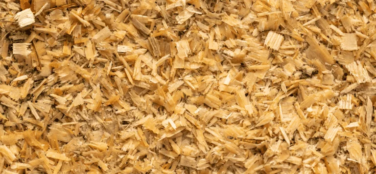 Transformer la sciure en produits biochimiques verts de grande valeur
