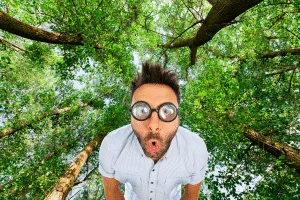 Choc ! En 2025, les IA envahiront la nature et survivront