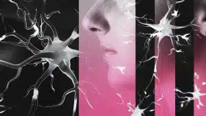 Un nouvel outil révolutionnaire pour diagnostiquer précocement les maladies cérébrales Un nouvel outil révolutionnaire pour diagnostiquer précocement les maladies cérébrales