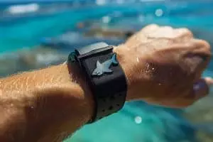 Peut-on vraiment se sentir en sécurité avec le leash anti-requin de Modom Sharkbanz 128 $ ?