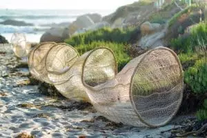 Ce filtre révolutionnaire promet d'éliminer définitivement les microplastiques avant qu'ils n'atteignent nos océans !