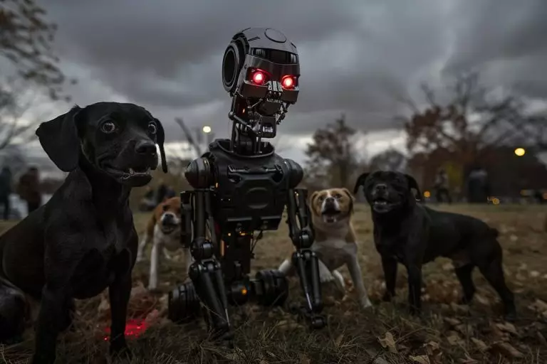Cette réaction des vrais chiens face aux robodogs est absolument terrifiante et troublante Les réactions effrayantes des vrais chiens face aux robodogs : un choc inattendu