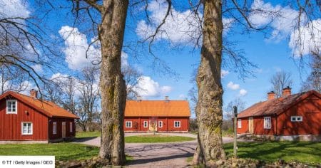 Ce road-trip de 4 600 km en Suède révèle les secrets cachés derrière vos meubles IKEA préférés