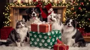 Ces maîtres dépensent des centaines d'euros pour offrir un Noël de rêve à leur animal : un marché florissant