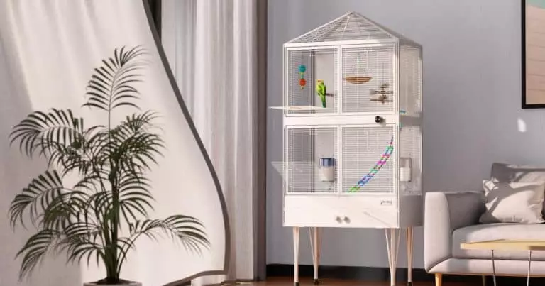 La première cage à oiseaux intelligente au monde s’occupe du nettoyage et de l’alimentation à votre place Cette cage connectée révolutionne la vie de 6 millions de foyers américains en nourrissant et nettoyant votre oiseau
