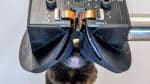 Cette innovation VR dévoile les secrets du cerveau des souris et ouvre des pistes pour traiter Alzheimer