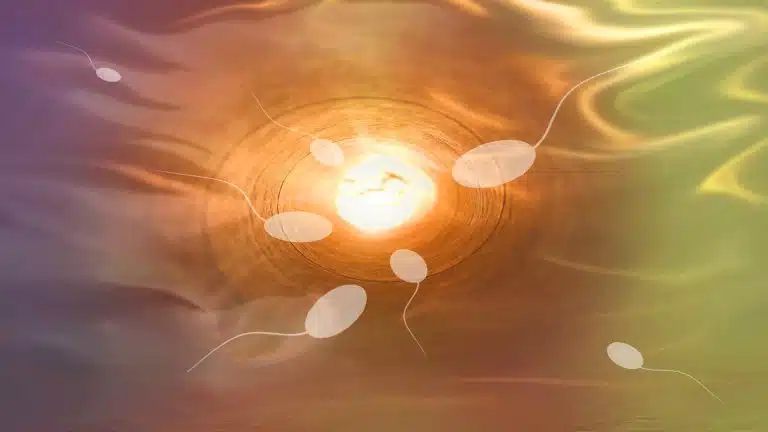 Sperme et ovules cultivés en laboratoire : une avancée qui pourrait bouleverser les traitements de fertilité Ces bébés sans sexe : la science promet des enfants avec 4 parents d’ici 10 ans, un bond vers Gattaca ?