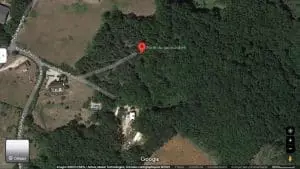 Un ado rebaptise le bois familial “La forêt du Quoicoubeh” et attire 500 curieux par jour, le village submergé