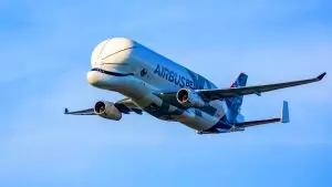Aussi lourd que 2 900 hommes et aussi long que trois bus : le BelugaXL, la « baleine » magique d’Airbus, captive les cieux Aussi lourd que 2900 hommes et aussi long que trois bus : le BelugaXL, la « baleine » magique d’Airbus, captive les cieux