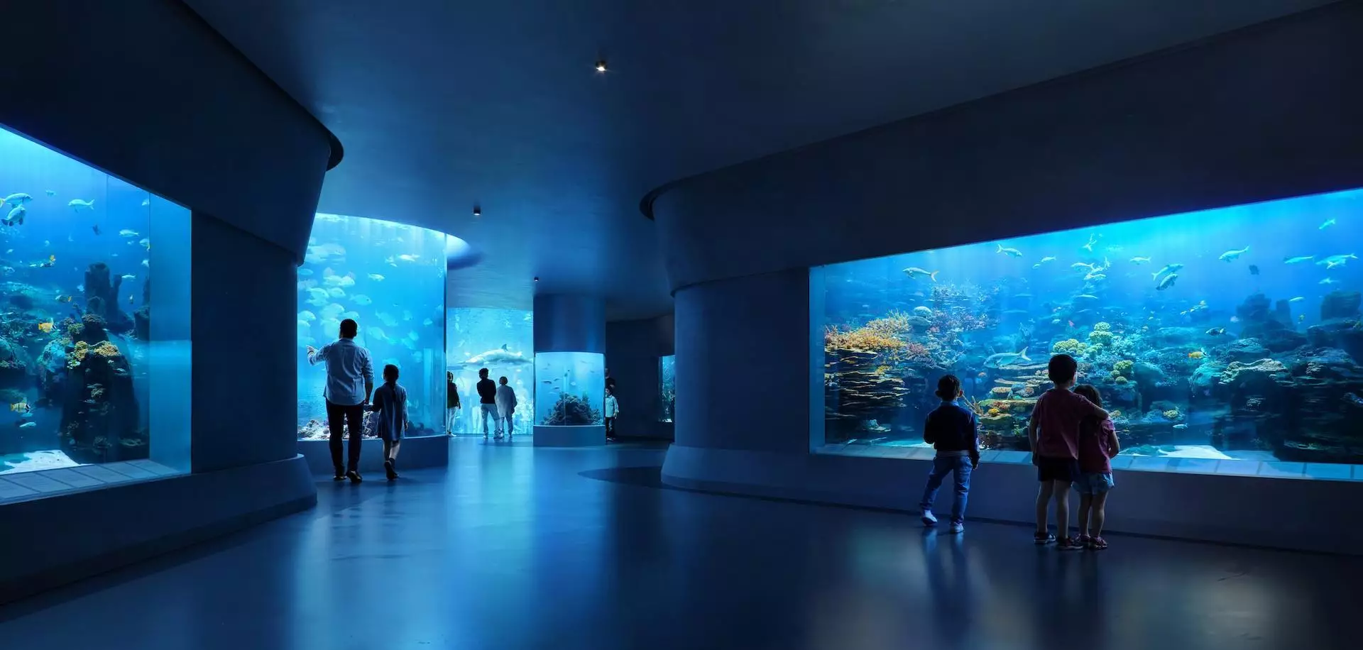 Le Centre de la Culture Méditerranéenne accueillera un aquarium