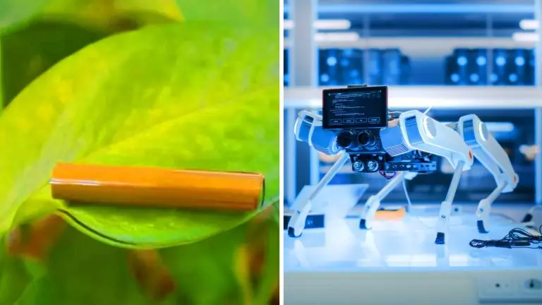Ce robot-chien ultra-puissant bondit, nage et porte 190 fois son poids grâce à des muscles inspirés des feuilles Ce chien robotisé ultrarapide, 190 fois plus fort que son poids, redéfinit la puissance animale grâce à un actionneur révolutionnaire